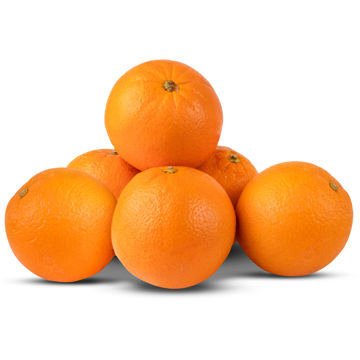 پرتقال شمال فله ای