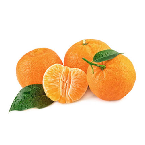 نارنگی یافا درجه یک - 1 کیلوگرم