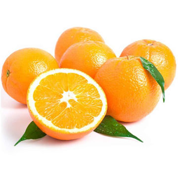 پرتقال جنوب فله ای