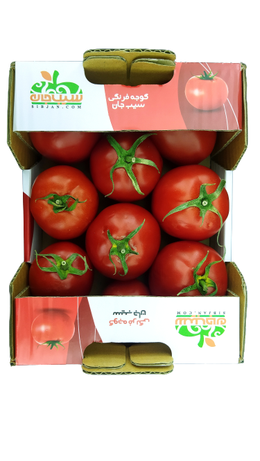 گوجه فرنگی گلخانه ای درجه یک - 1 کیلوگرم