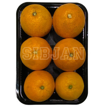 پرتقال جنوب درجه یک - 1 کیلوگرم