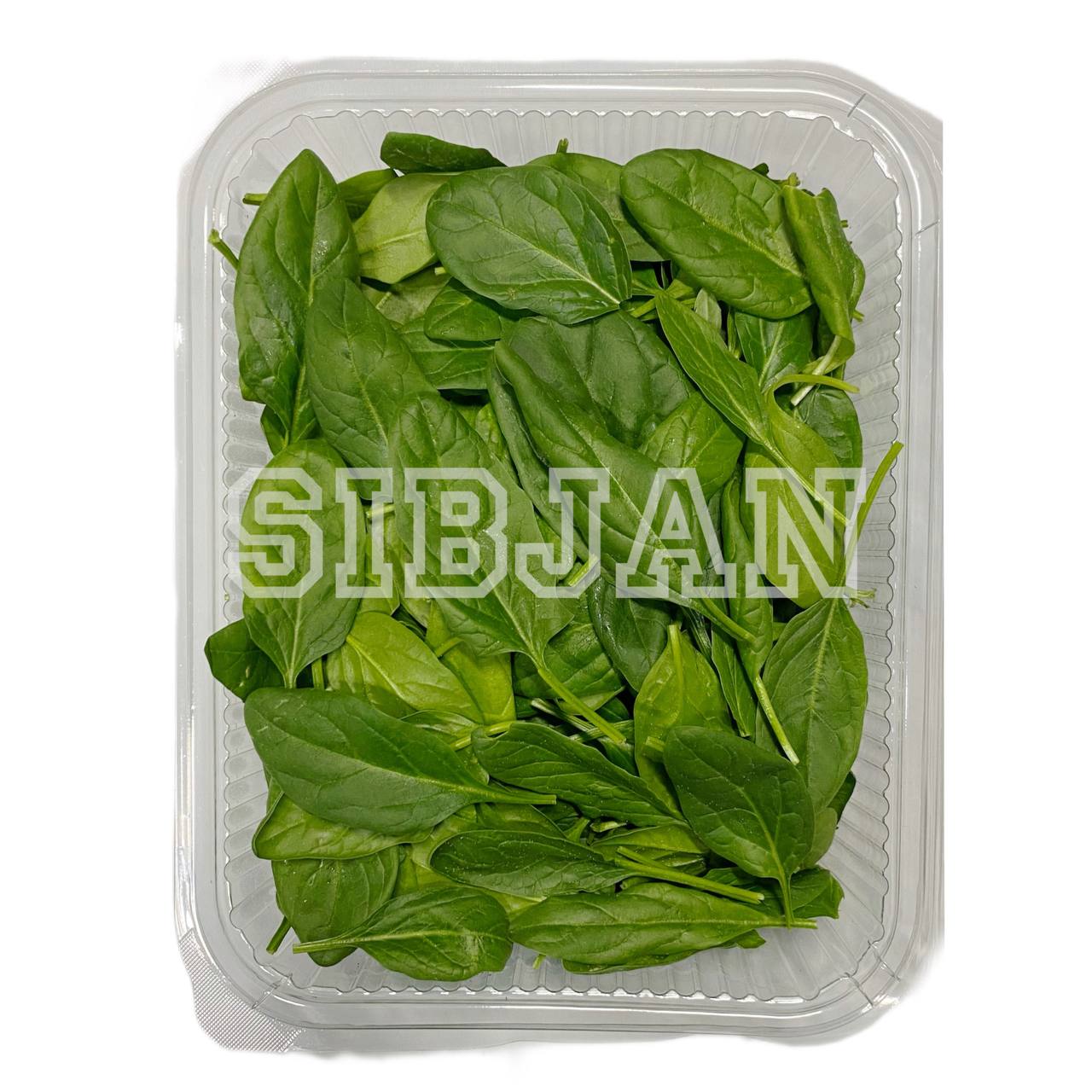 سبزی ریحان ایتالیایی  - 1 بسته
